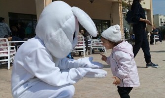 Easter Egg Hunt Easter Egg Hunt