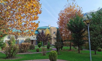 Toamnă în Cosmopolis Toamnă în Cosmopolis
