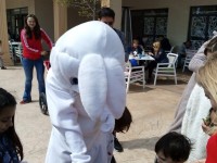 easter-egg-hunt-31
