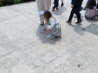 easter-egg-hunt-35