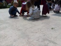 easter-egg-hunt-36