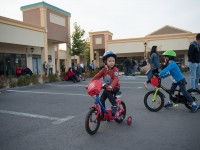 nicu-alifantis-zan-10