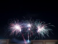 nicu-alifantis-zan-18