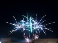 nicu-alifantis-zan-19