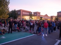 nicu-alifantis-zan-5