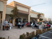 nicu-alifantis-zan-9