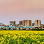 Apartamente 1 Cameră 